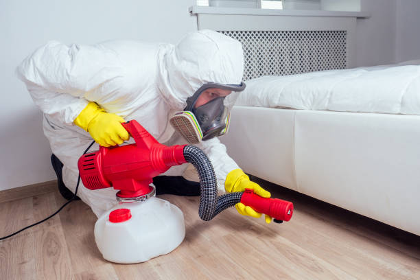 Professional Pest Control in Truth Or Consequences, NM